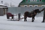 Продажа. Сани на пони и лошадь фотография